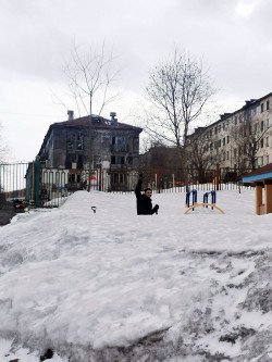 Благодарность нашим папам