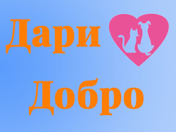 Дари Добро